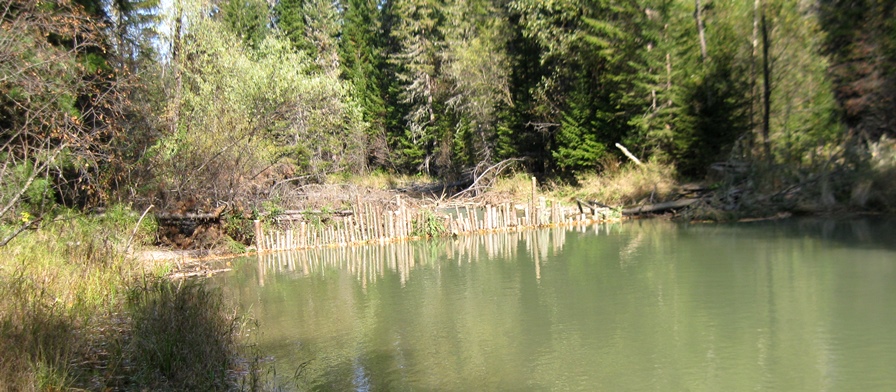 Таежные речки 2016