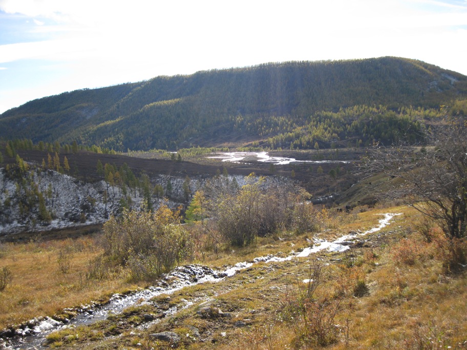 Ока -Боксон -Диби -Боксон -Ока -Сенца -Ока
