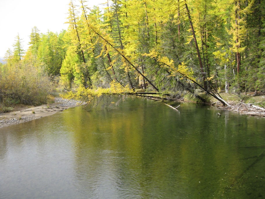 Ока -Боксон -Диби -Боксон -Ока -Сенца -Ока