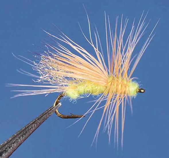 Little Yellow Stonefly (Маленькая желтая веснянка)