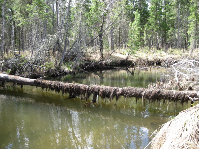 Re: Другие речки 2013г.