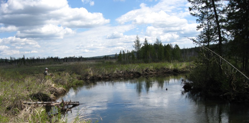 Re: Другие речки 2013г.