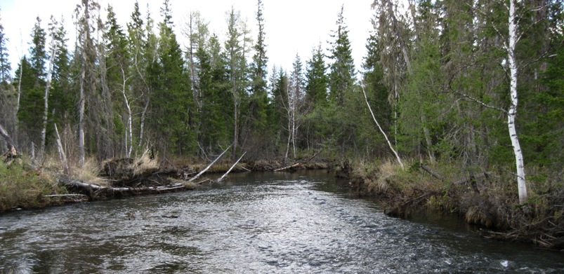 Re: Другие речки 2013г.