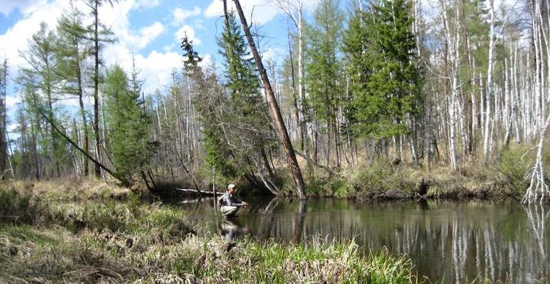 Re: Другие речки 2013г.
