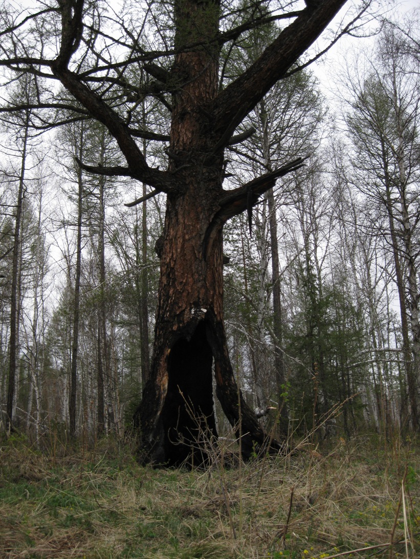 Re: Другие речки 2013г.