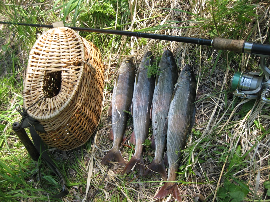Возвращение Будулая .Вольный 2015