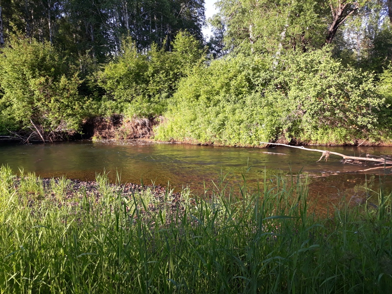 р. Ушаковка