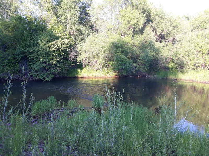 р. Ушаковка