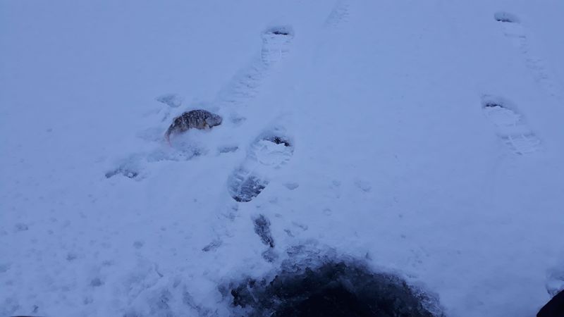 Сезон 2018/2019 открыт!