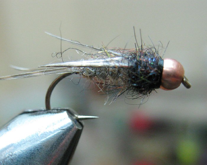 Новые нимфы