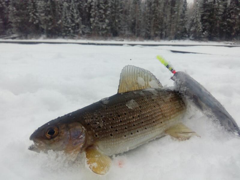 Малые речки