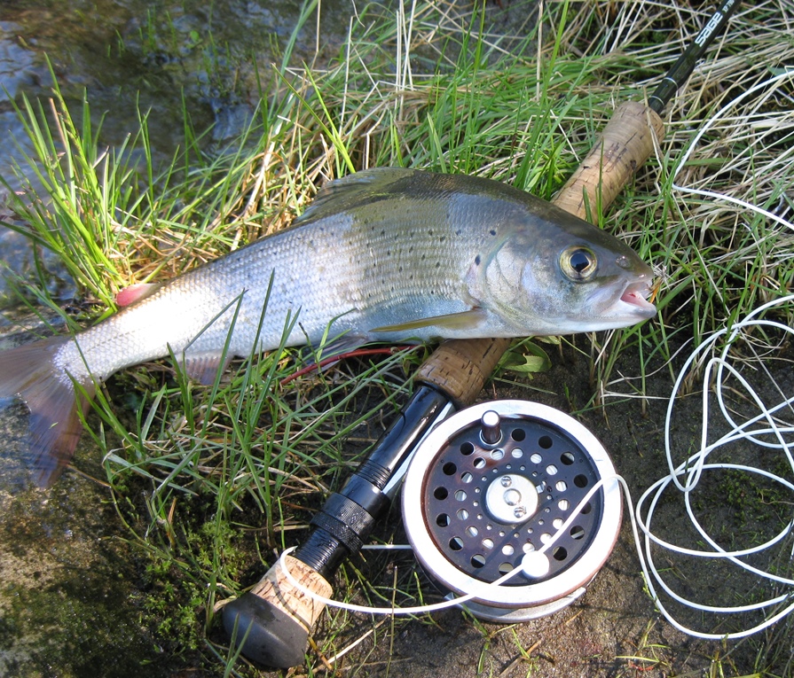 Возвращение Будулая .Вольный 2015