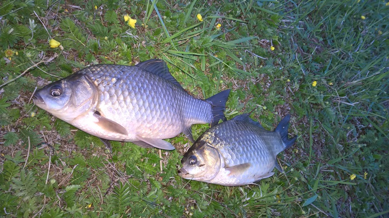 Братское водохранилище