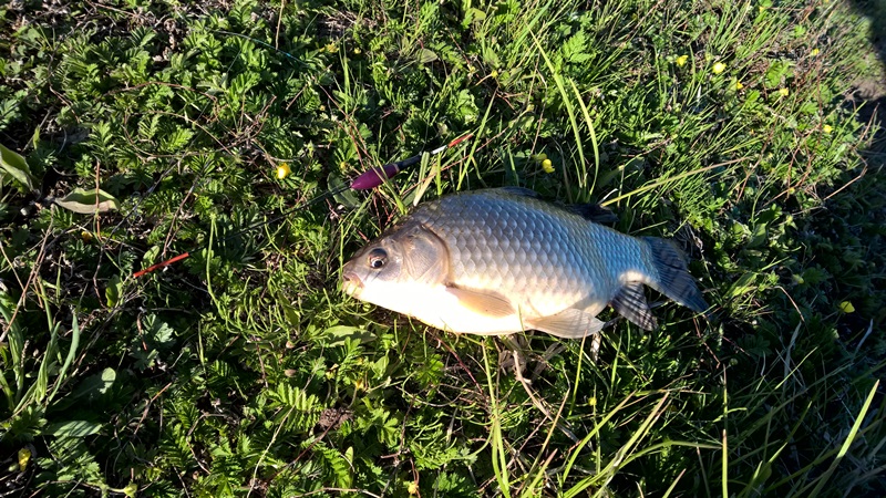 Братское водохранилище