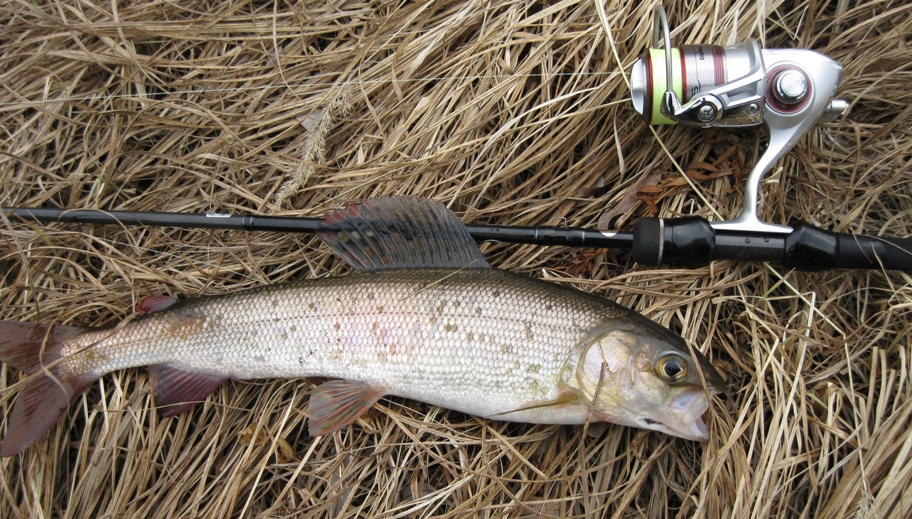 Другие речки 2014