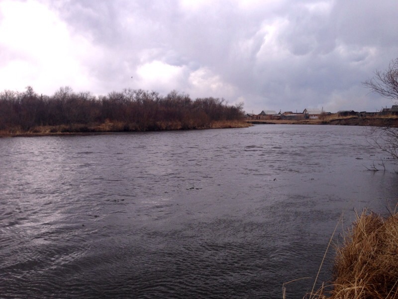 Жидкая вода 2015