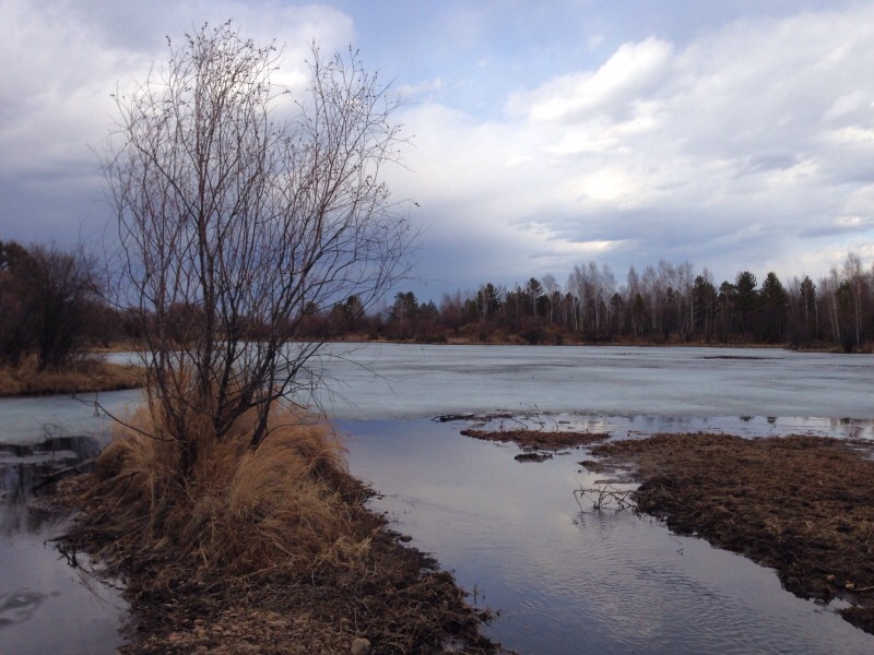 Жидкая вода 2015