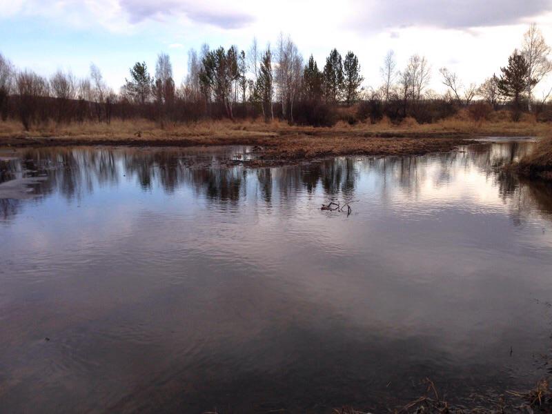 Жидкая вода 2015