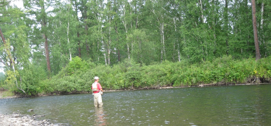 Голоустная