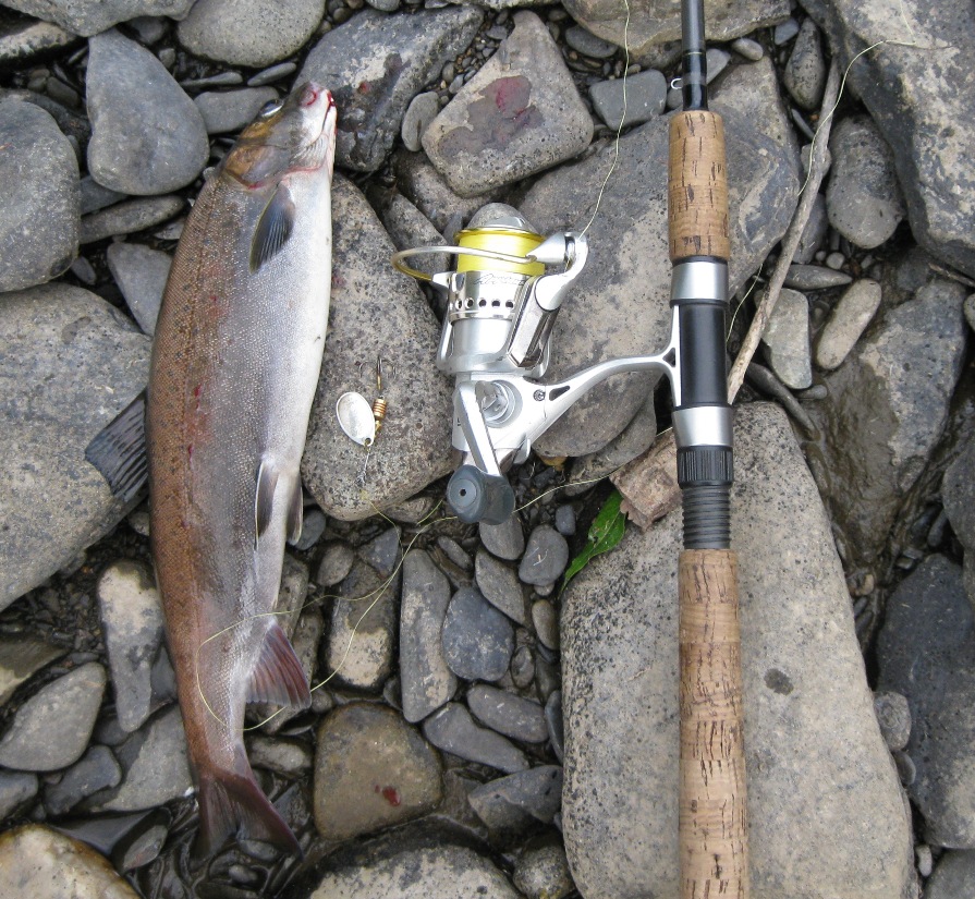 Голоустная