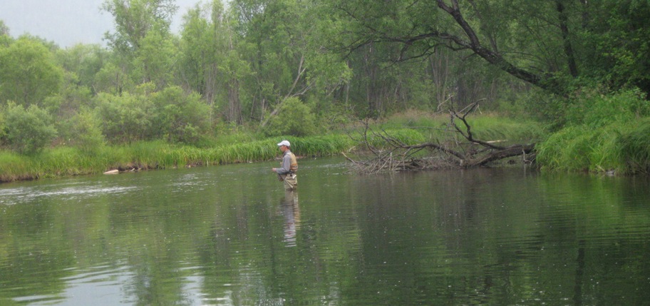 Голоустная