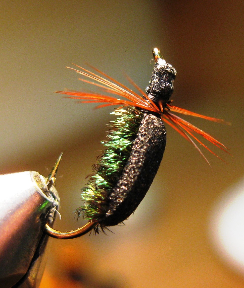 Нарушая правила .Ангара с нахлыстом .