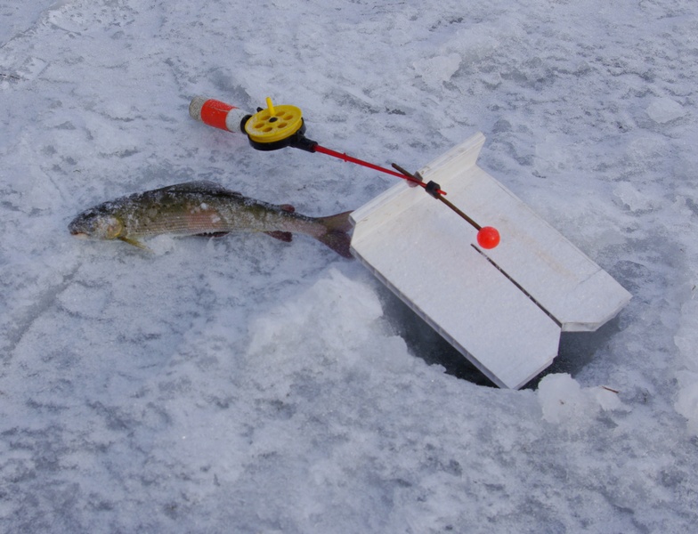 Ангара 2017г.