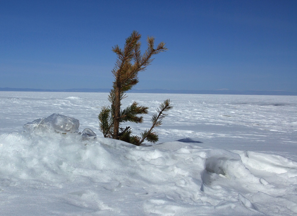 Омулевая рыбалка на Бурятской стороне