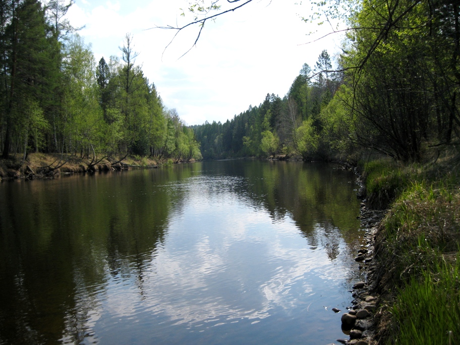 Китой и его притоки 2014