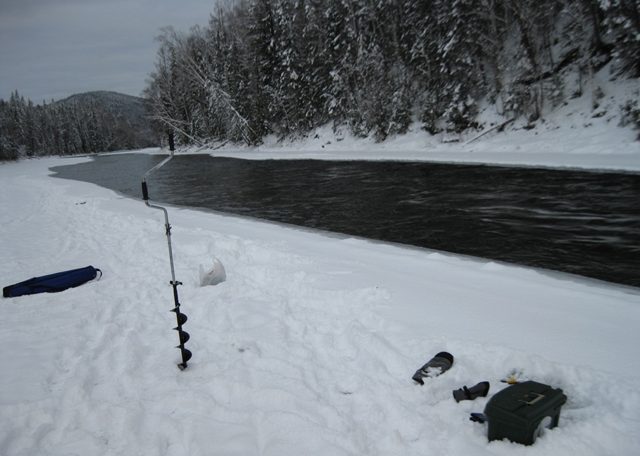 Река Белая и её притоки.