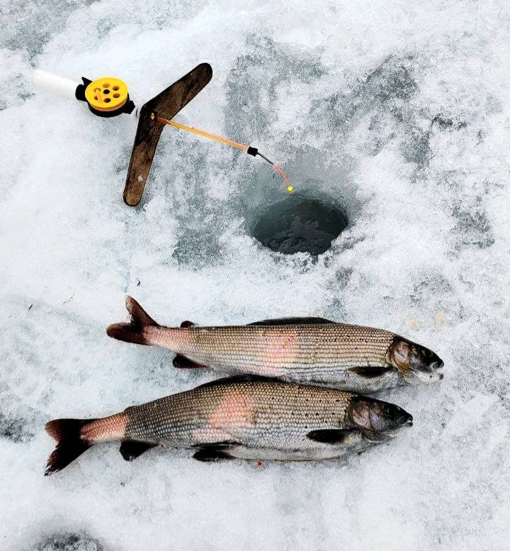 Сезон 23-24 г.