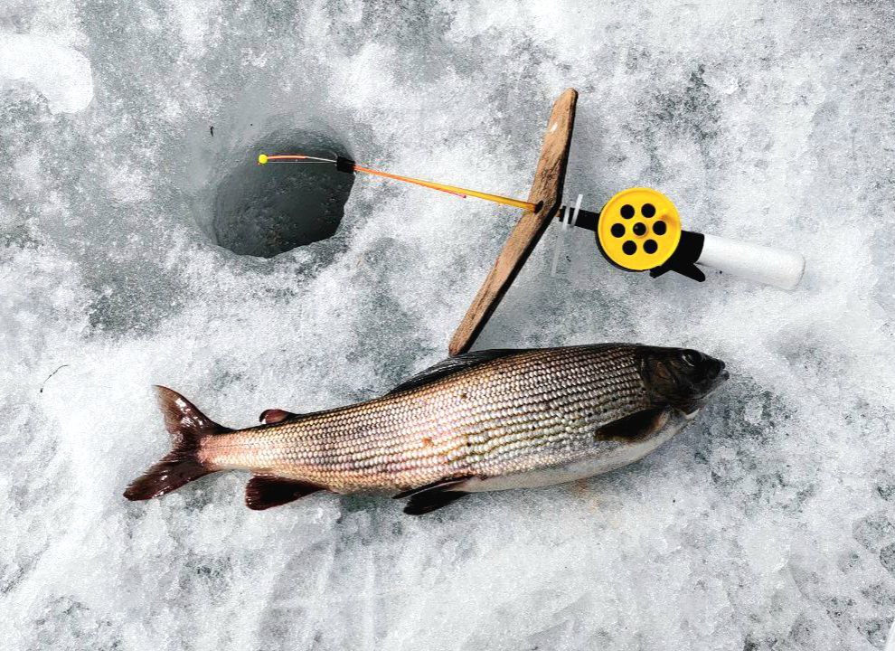 Сезон 23-24 г.