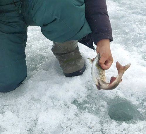 Сезон 23-24 г.