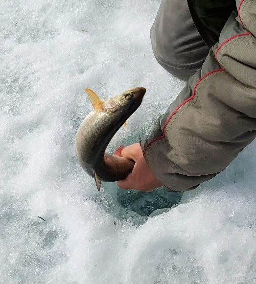 Сезон 23-24 г.