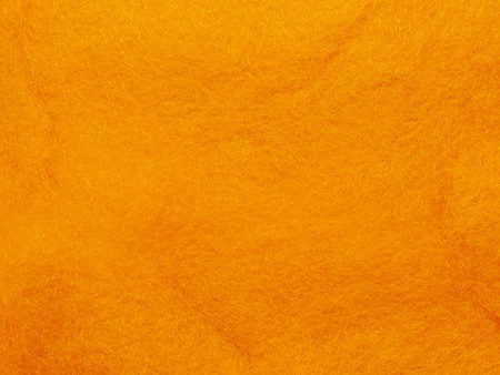 Байкало-Ангарские грузовые мухи.