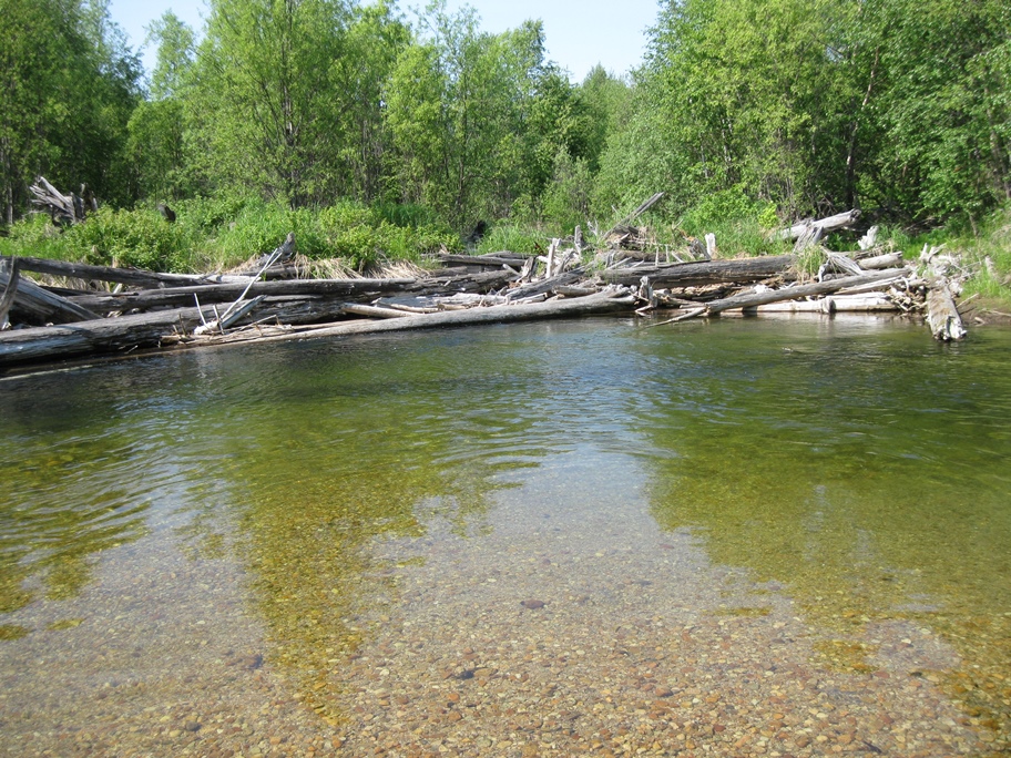 Возвращение Будулая .Вольный 2015