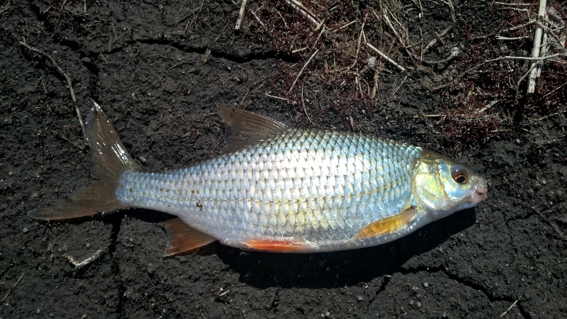 Братское водохранилище