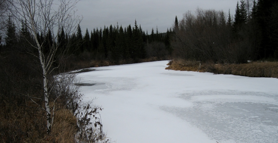 Где-то в Ленской тайге