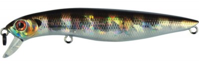 Новости магазина Перекат