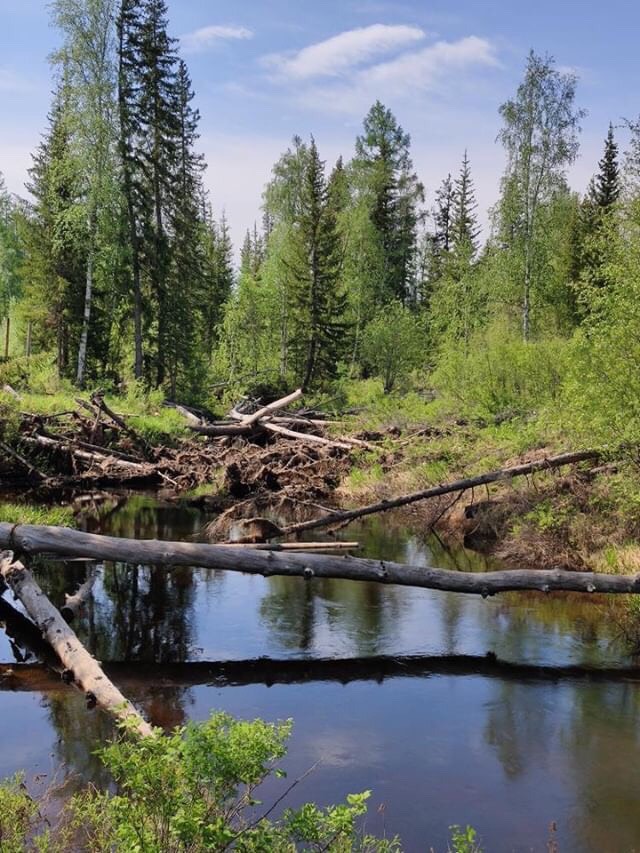 Фото друзей ,товарищей ,знакомых
