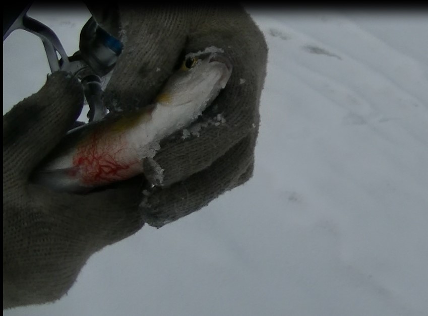 Re: Река Белая и её притоки.