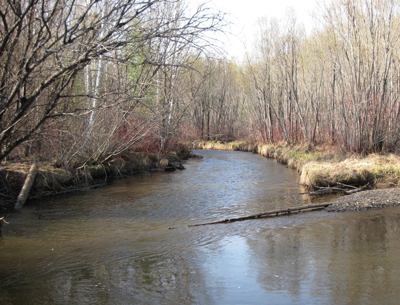 Первая большая рыбалка 2014 г.