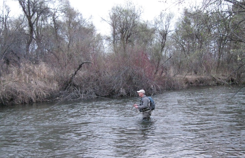 р.Ушаковка сезон 2013