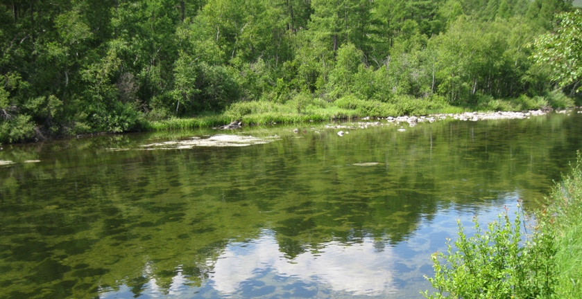 Краткий обзор сухих мушек от Maverick