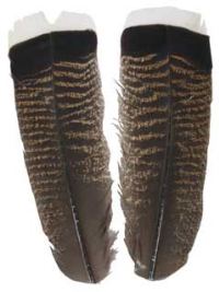 Новые нимфы