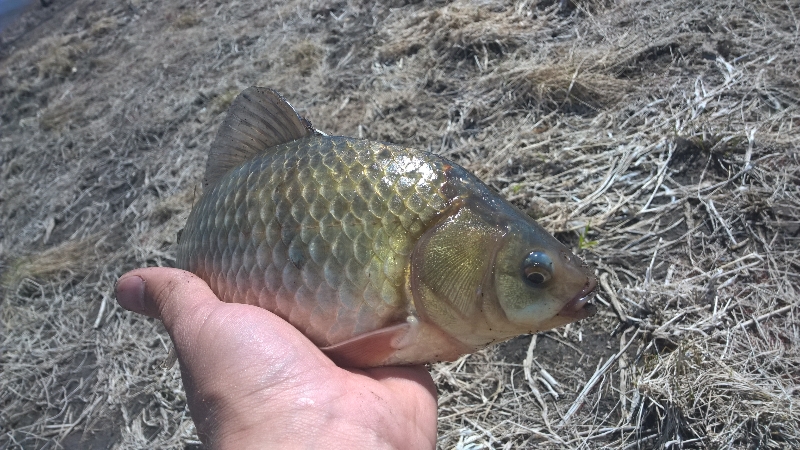 Братское водохранилище