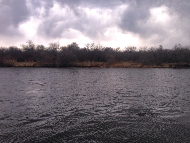 Жидкая вода 2015