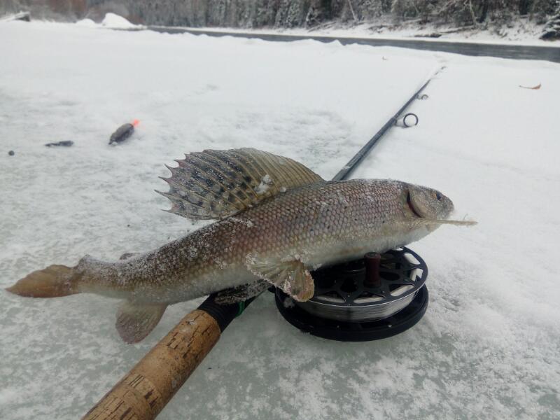 Малые речки