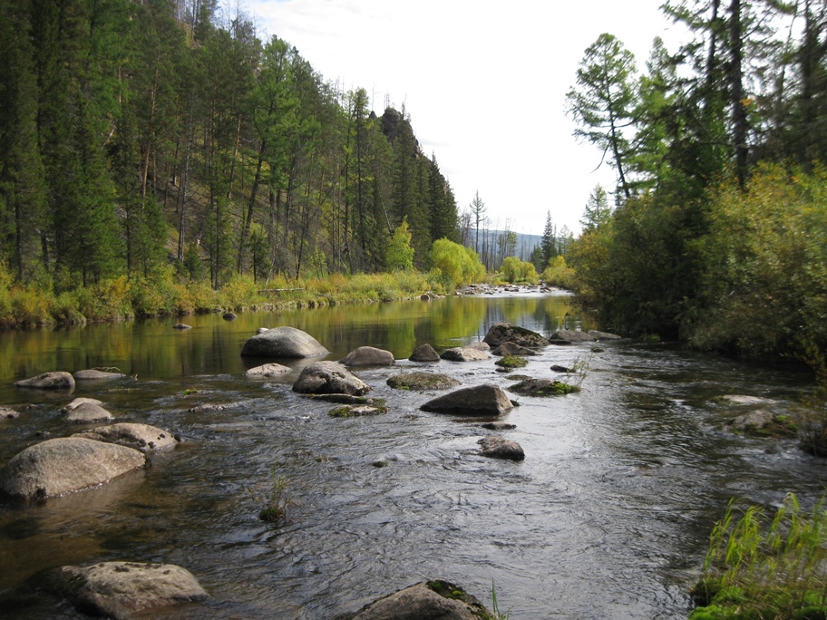 Таежные речки 2016