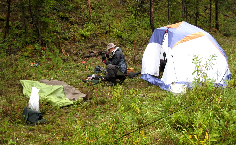 Авантюристы